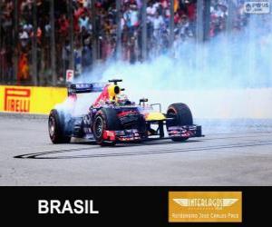 yapboz Sebastian Vettel Brezilya 2013 Grand Prix zaferi kutluyor